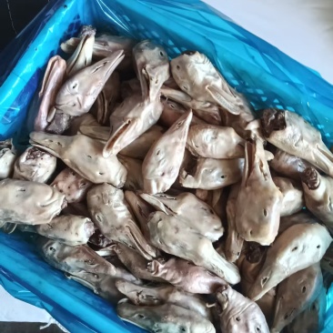 库里去舌鹅头9吨左右