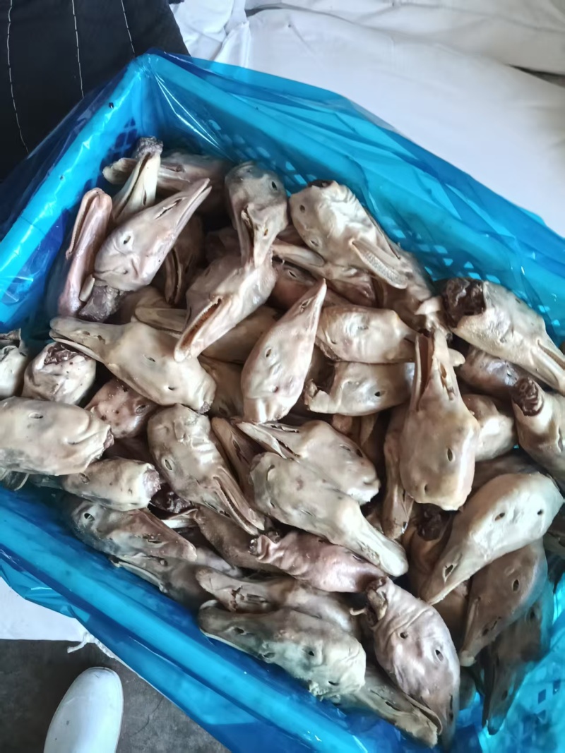 库里去舌鹅头9吨左右