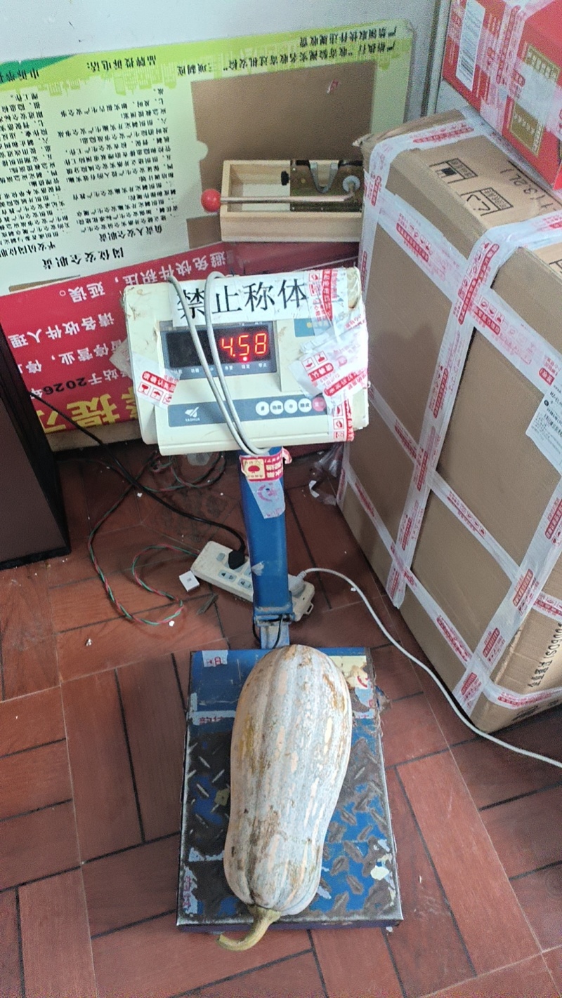 口感好，品质好，瓜大