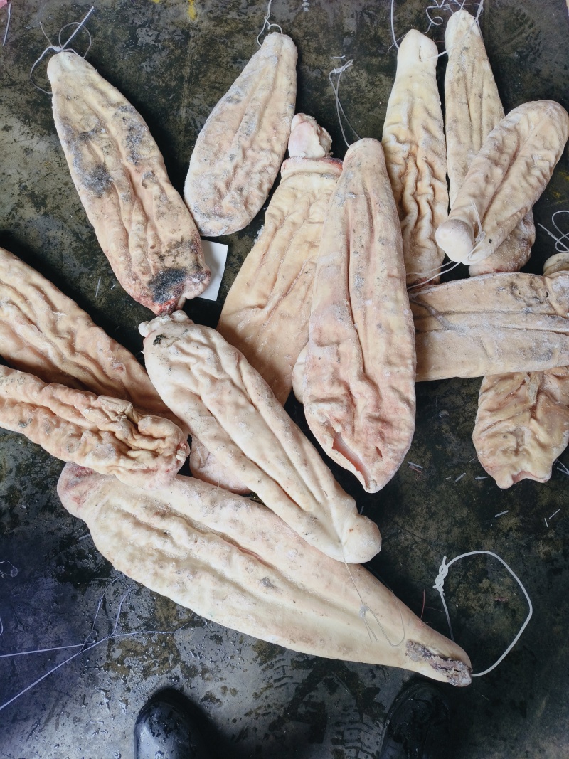 鲨鱼肚