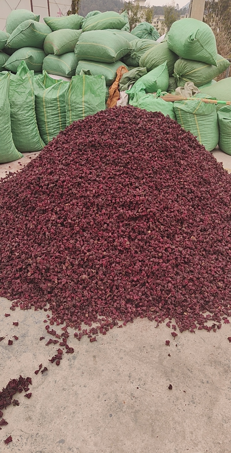 玫瑰茄