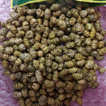 铁皮石斛