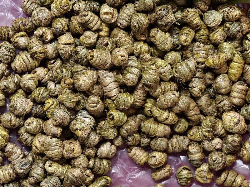 铁皮石斛
