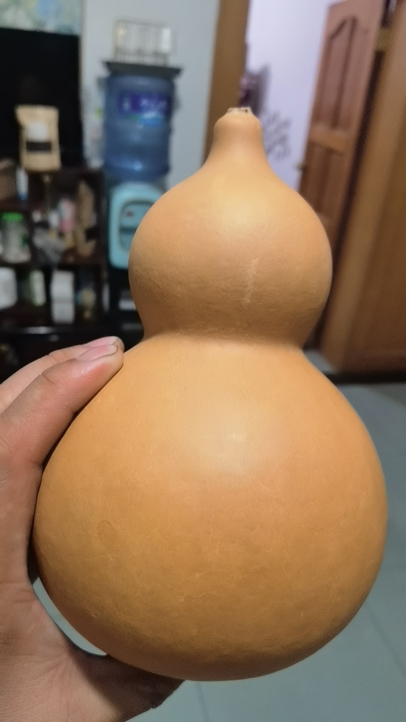云南弥勒厚皮葫芦