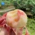 水蜜桃