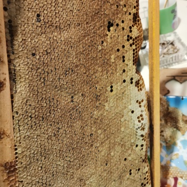 深土蜂蜜，源自深山放养蜜源丰富，成熟原蜜桶装，品质俱佳