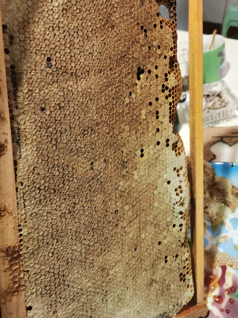 深土蜂蜜，源自深山放养蜜源丰富，成熟原蜜桶装，品质俱佳