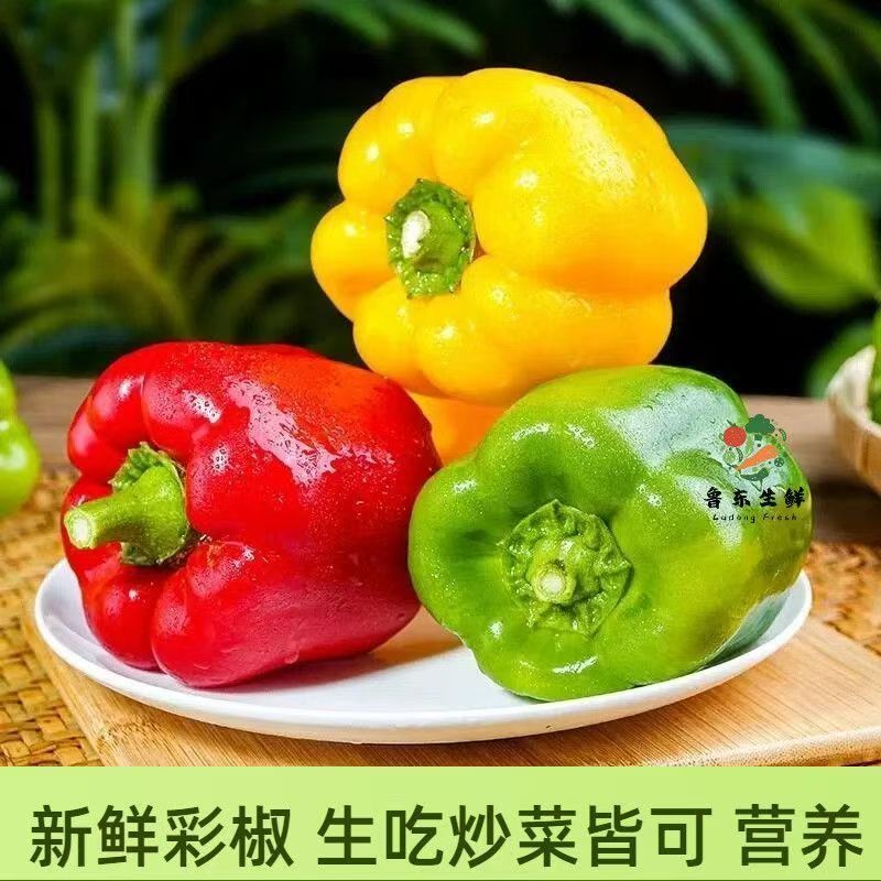 山东彩椒一件代发