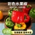 山东彩椒一件代发