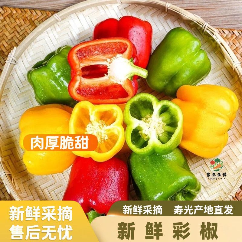 山东彩椒一件代发