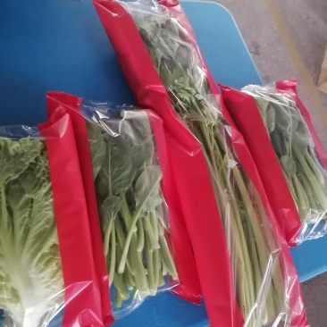 迈德龙I5O532OI938蔬菜包装机