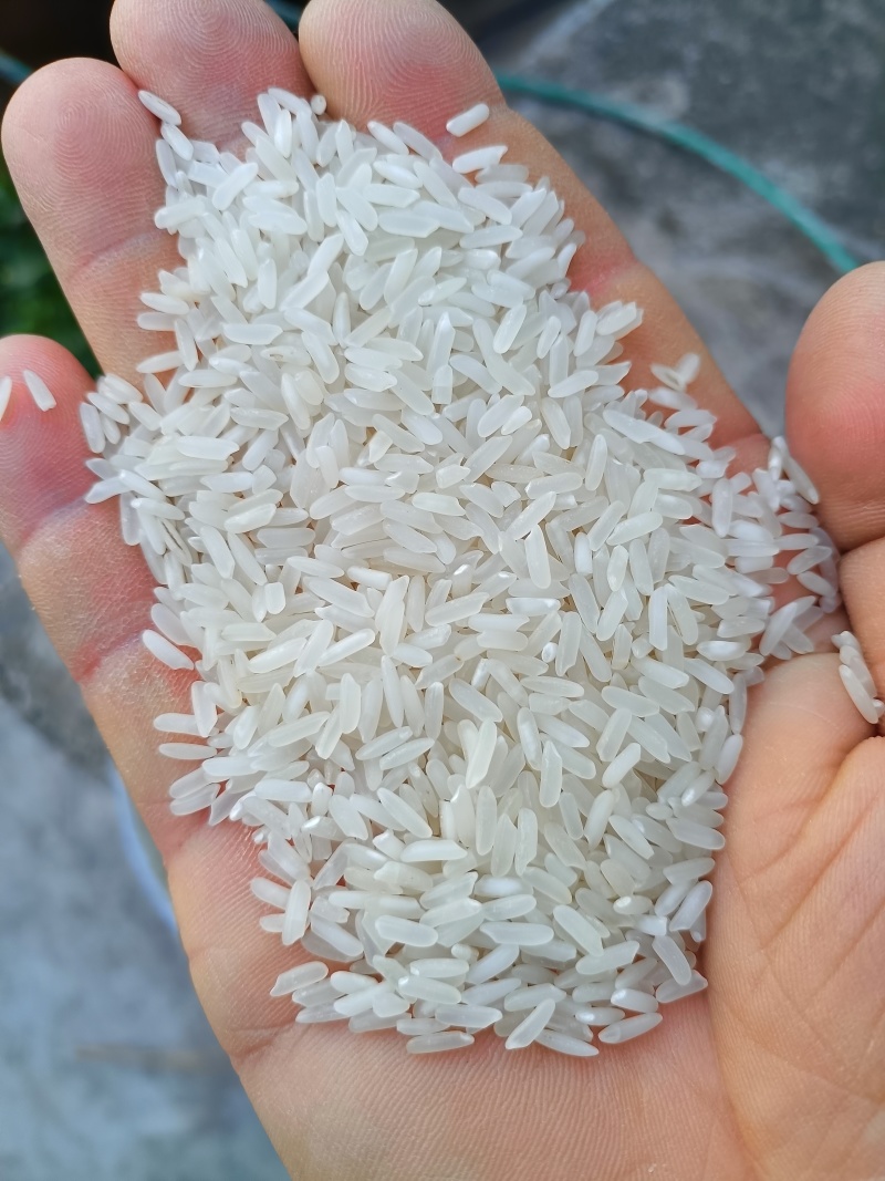 湖北京山丰二优标米