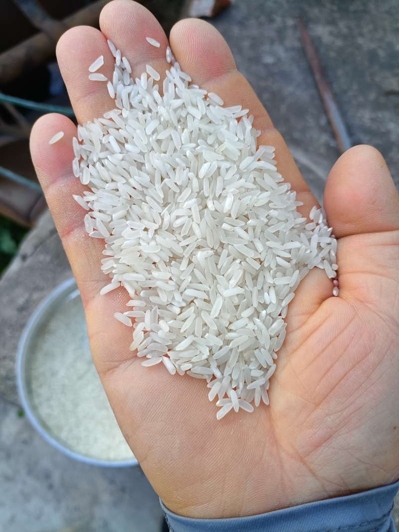 湖北京山丰二优标米
