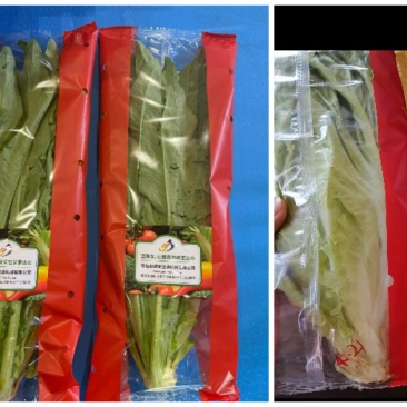 迈德龙I5O532OI938蔬菜包装机