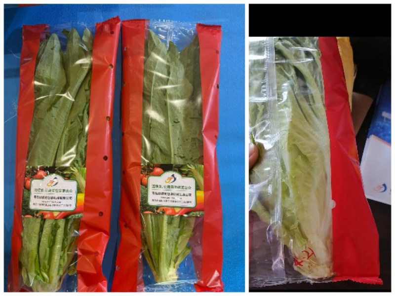 迈德龙I5O532OI938蔬菜包装机
