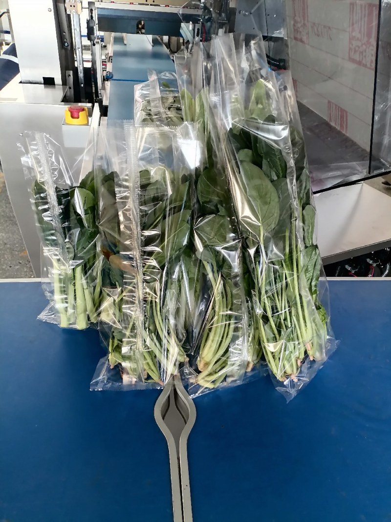 迈德龙I5O532OI938蔬菜包装机