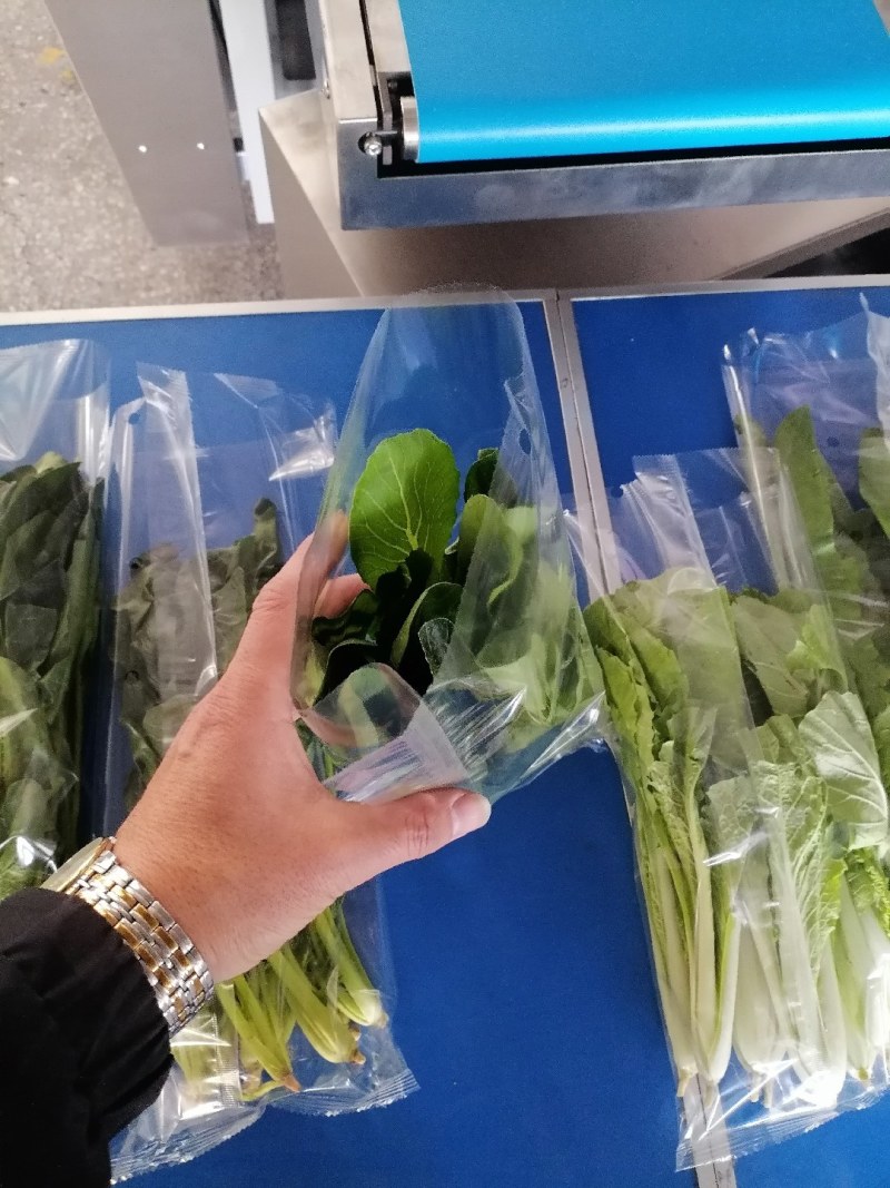 迈德龙I5O532OI938蔬菜包装机
