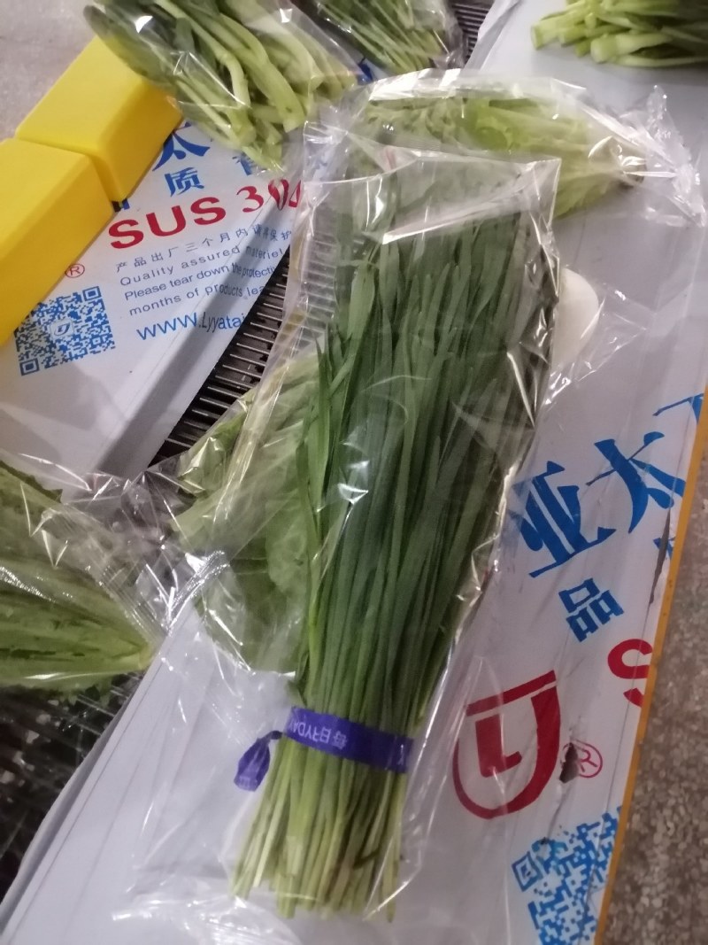 迈德龙I5O532OI938蔬菜包装机