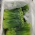 精品韭苔