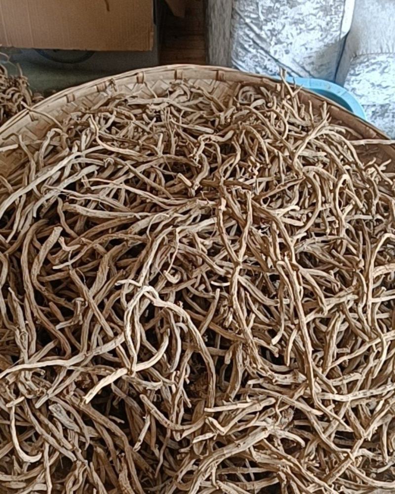 一年生续断需要的老板联系