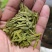 绿茶