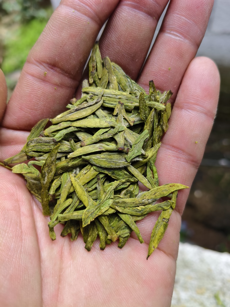 绿茶
