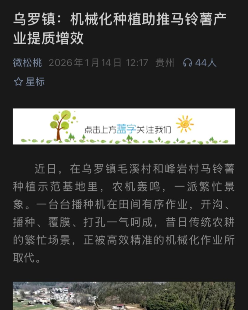 乌罗高山沙地土豆