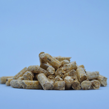 纯松木颗粒4500---4700打卡