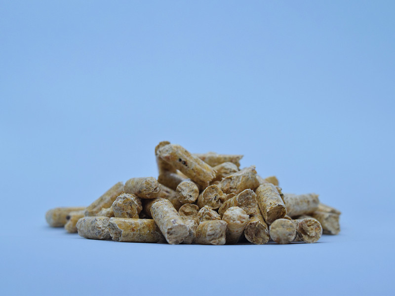 纯松木颗粒4500---4700打卡