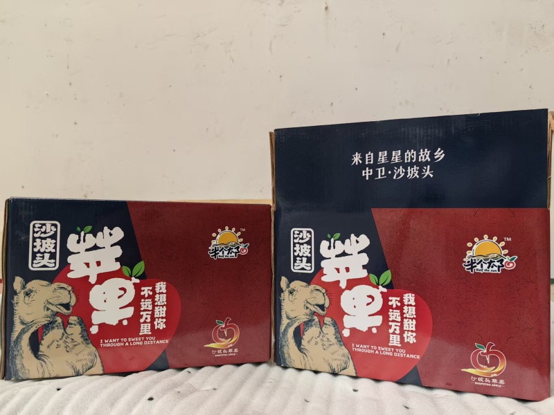 中卫市沙坡头旱苹果