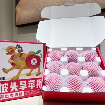 中卫市沙坡头旱苹果