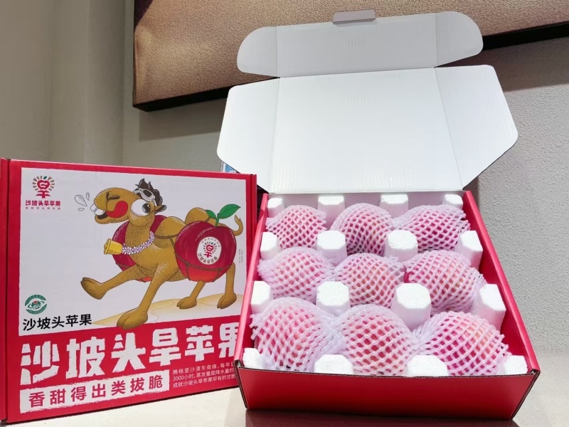 中卫市沙坡头旱苹果