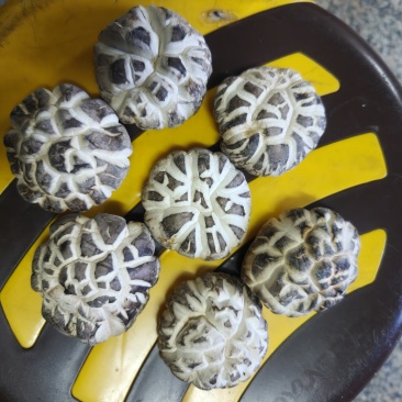 白茶花香菇一斤装