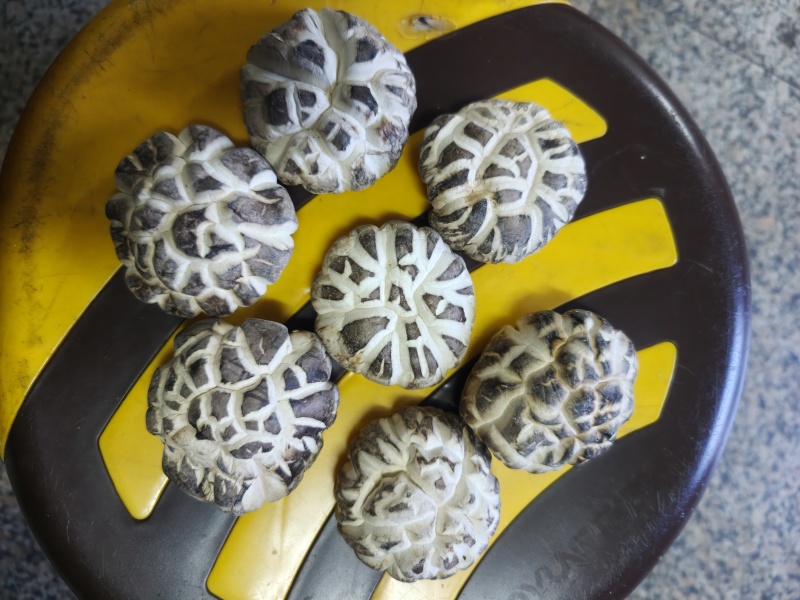 白茶花香菇一斤装