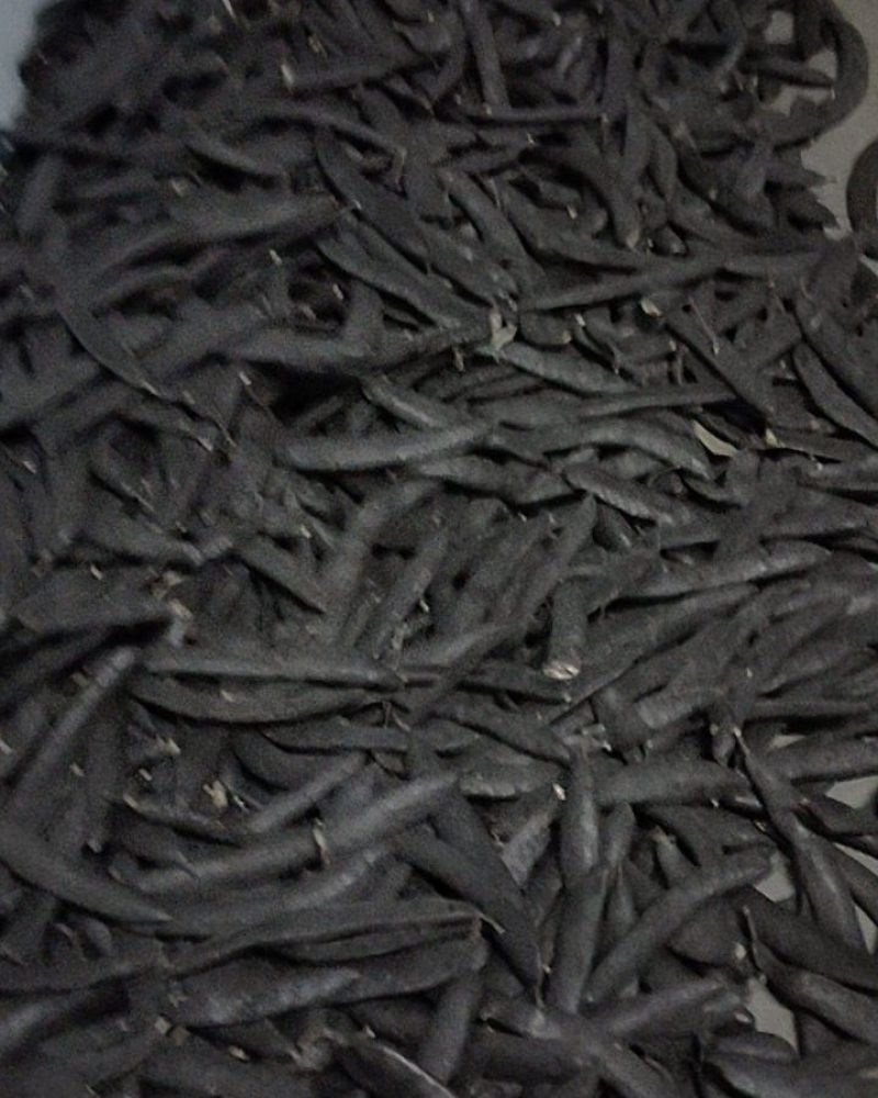 皂角
