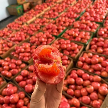 普罗旺斯西红柿