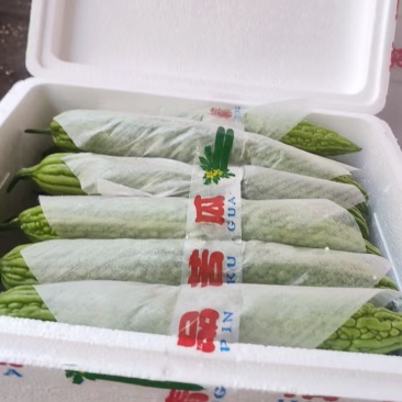 主营寿光货，品种齐全，