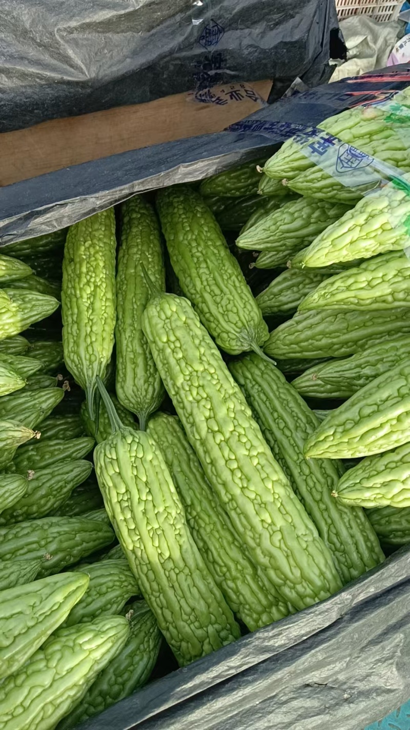 主营寿光货，品种齐全，