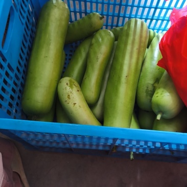 农家蔬菜