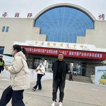 河南纯红薯淀粉，手工粉条！支持检验，假一赔万