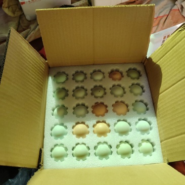 土鸡蛋鸭蛋鹅蛋