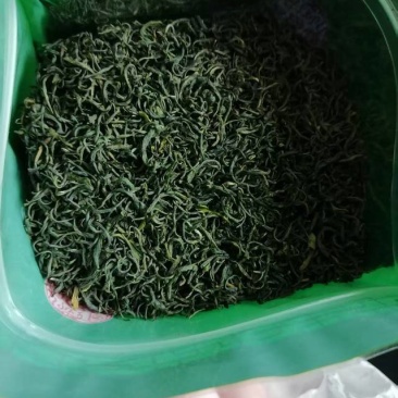 湖北竹山绿茶