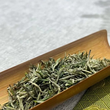 信阳毛尖明前茶，茶农自产自销传统工艺手工茶