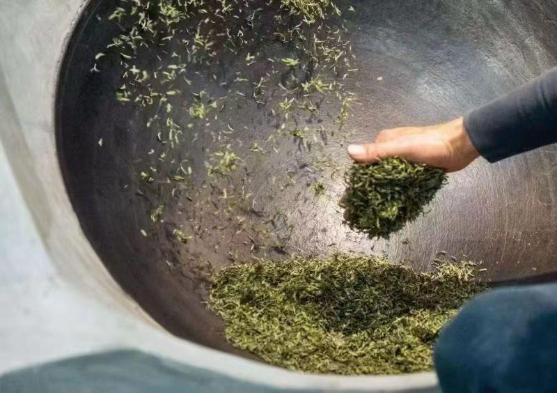 信阳毛尖明前茶，茶农自产自销传统工艺手工茶