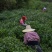 信阳毛尖明前茶，茶农自产自销传统工艺手工茶
