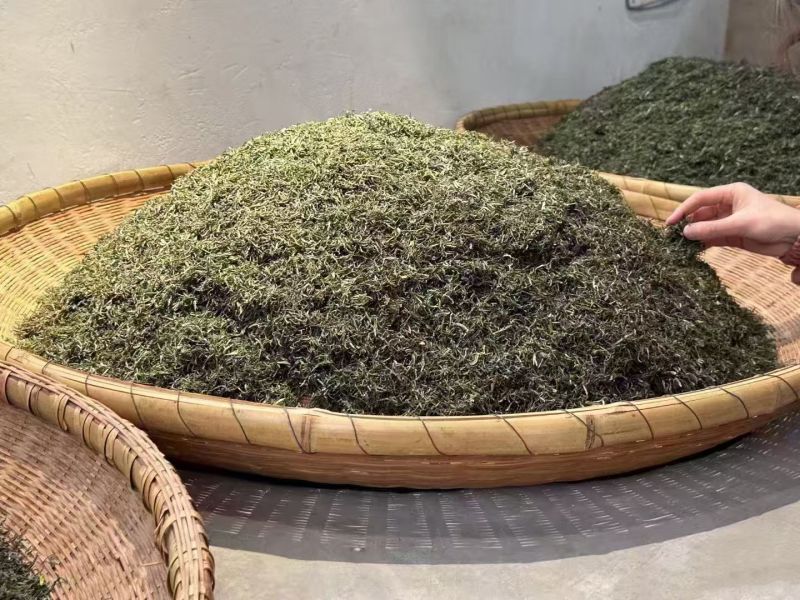信阳毛尖明前茶，茶农自产自销传统工艺手工茶