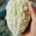 寿光特色蔬菜苹果苦瓜｜全国名特优新，脆甜微苦的“白富美”果蔬