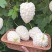 寿光特色蔬菜苹果苦瓜｜全国名特优新，脆甜微苦的“白富美”果蔬
