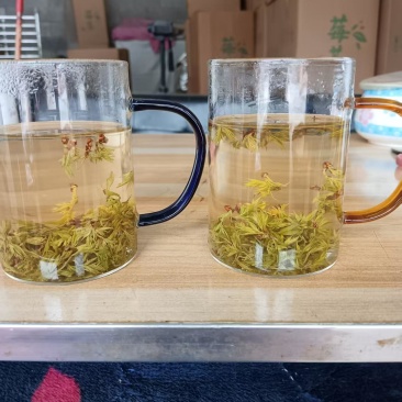 永顺莓茶