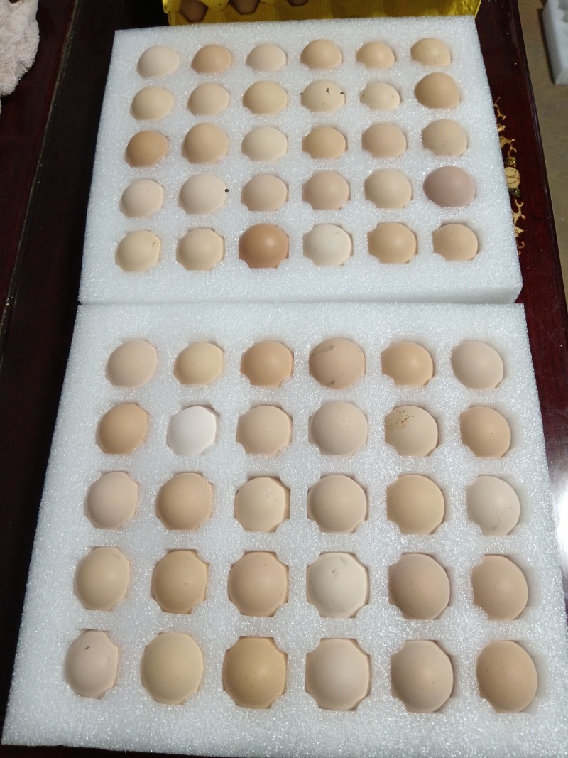 土鸡蛋1件代发